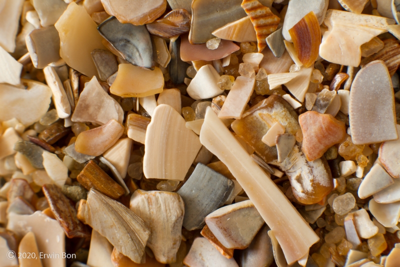 Nederland, Zuid-Holland, Wassenaar